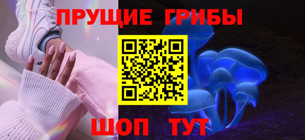 Псилоцибиновые грибы Psilocybe Лобня