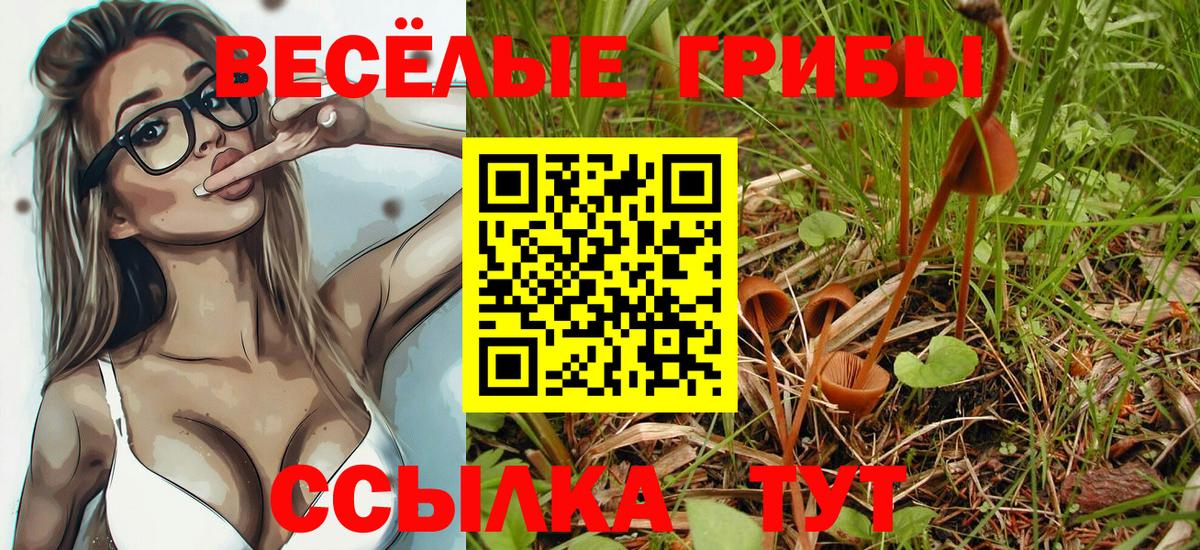 Лобня  Галлюциногенные грибы Psilocybine cubensis  Галлюциногенные грибы Magic Shrooms  Вход с VPN 